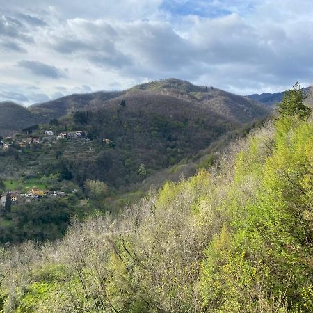 Casa Vacanze Giuliana Villore Dış mekan fotoğraf