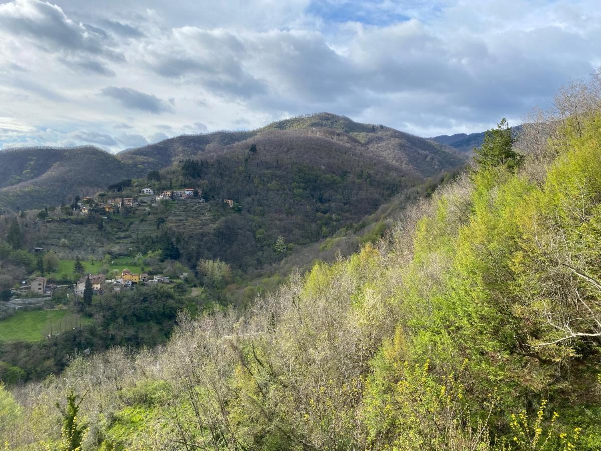 Casa Vacanze Giuliana Villore Dış mekan fotoğraf